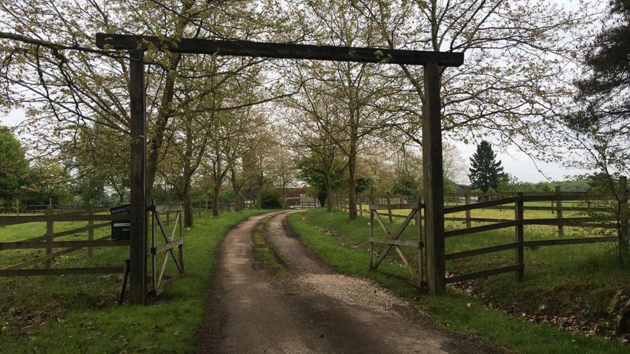 Gite Le Petit Vauthion Leugny Exterior foto