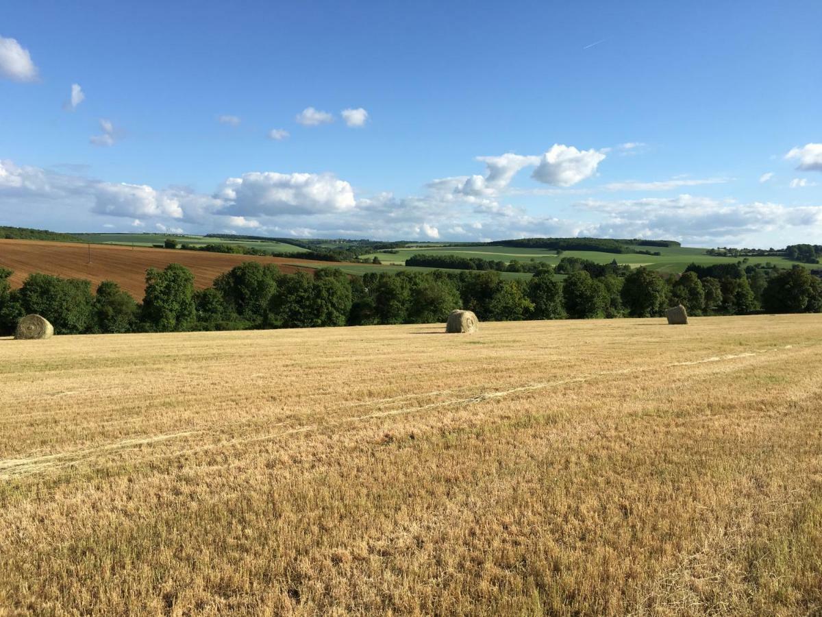 Gite Le Petit Vauthion Leugny Exterior foto